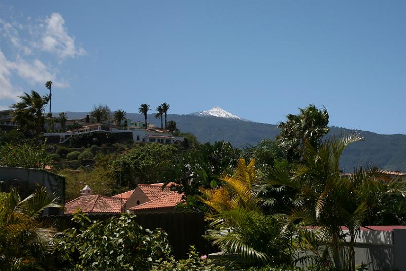 Puerto de la Cruz29.jpg